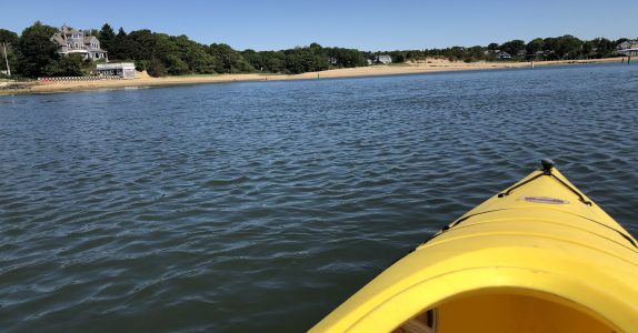 Reflections of a Curly-haired Girl